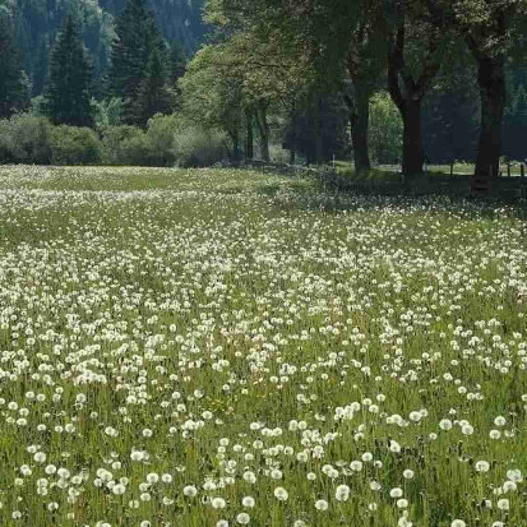 از بیکاری اینقدر لم دادمه که شدم لم یلد ولم یولد