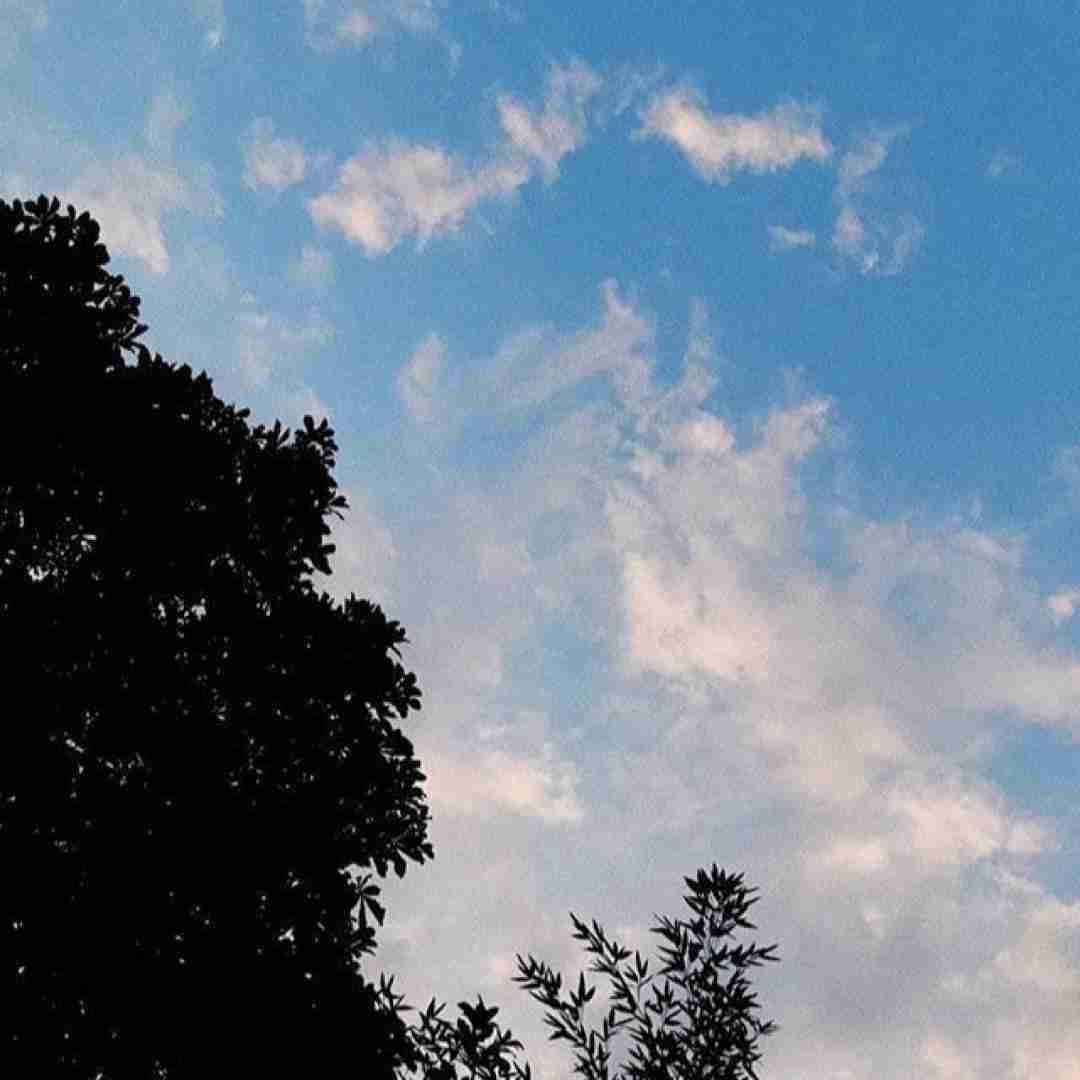  یادت رفت همه قولاتو یادت رفت همه حرفاتو هوش مصنوعی