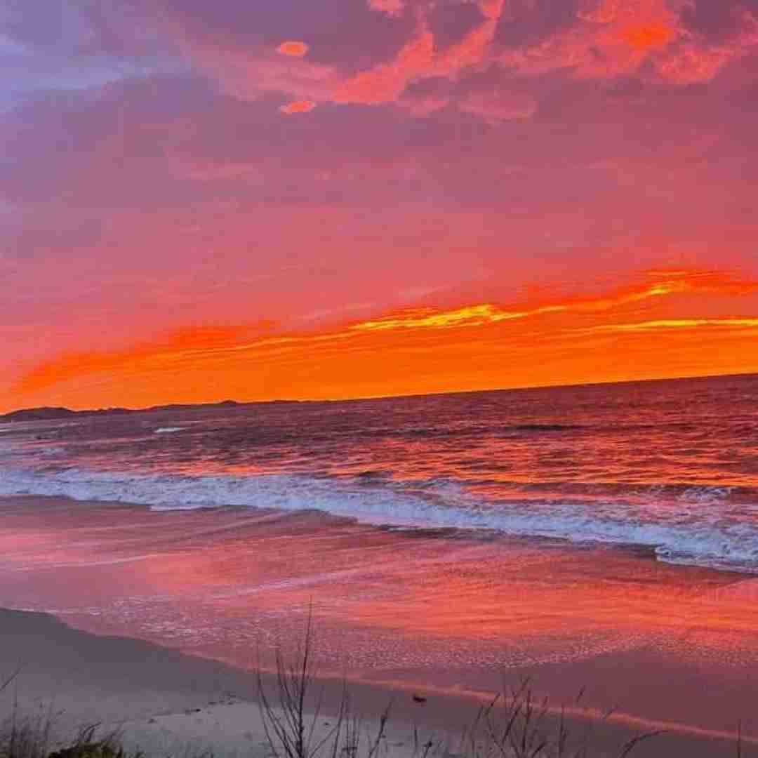 همه کوچه خیابونو زدم بی وقفه فریاد یه روزی با صدای زن