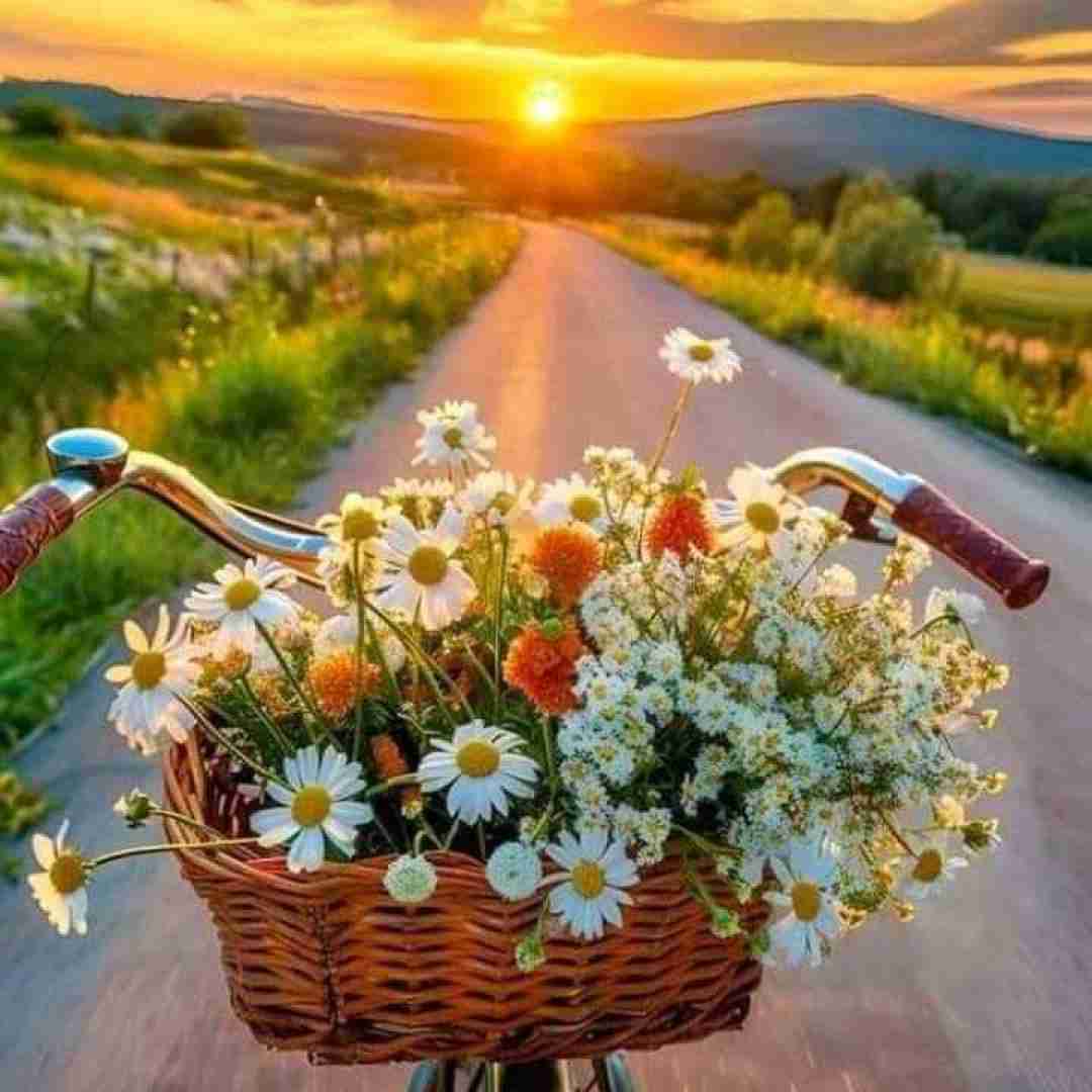  گنده گوزی پشت گوشی فکر میکنی فانی