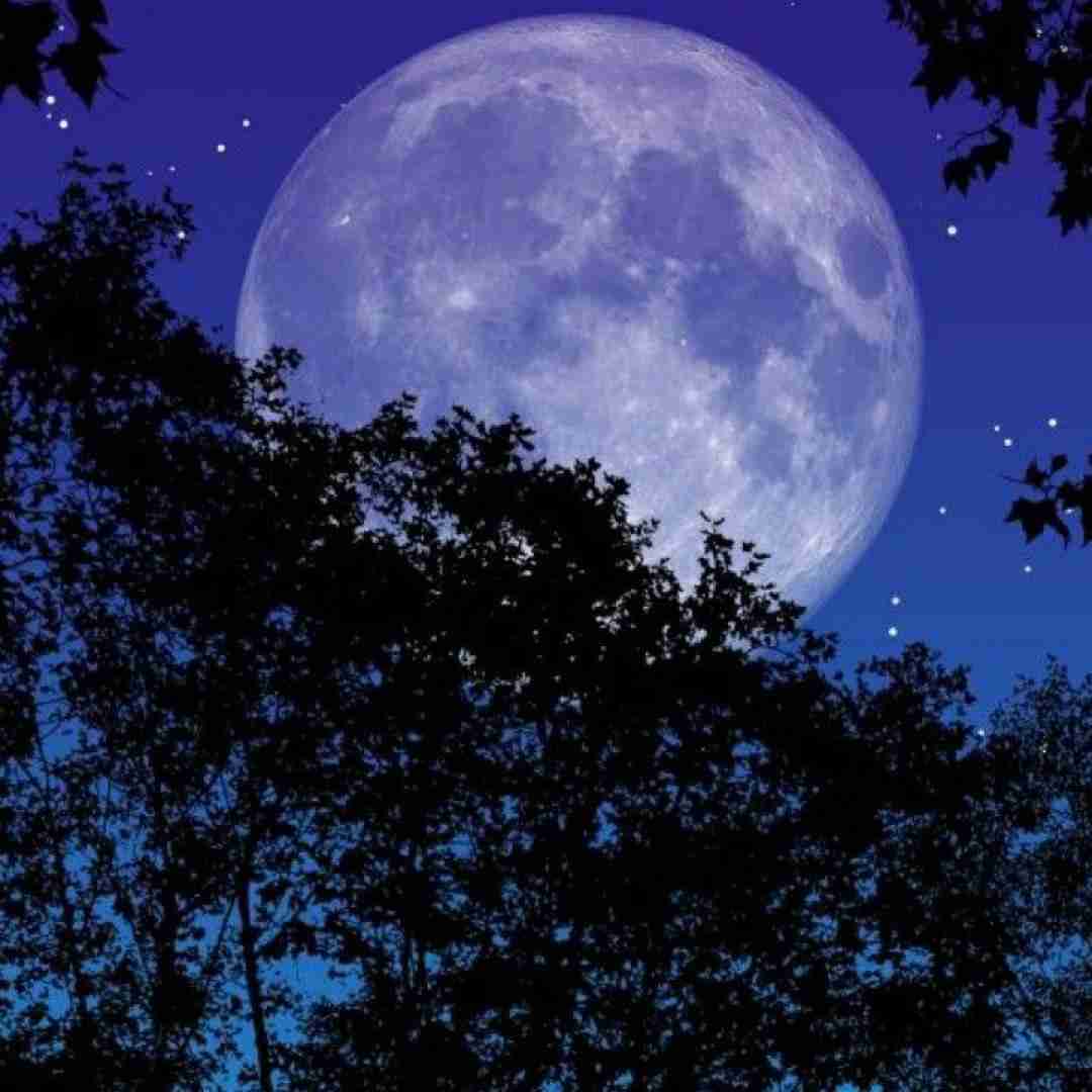  یار قسم خورده یه روز دیدم شده غریبه اینستایی