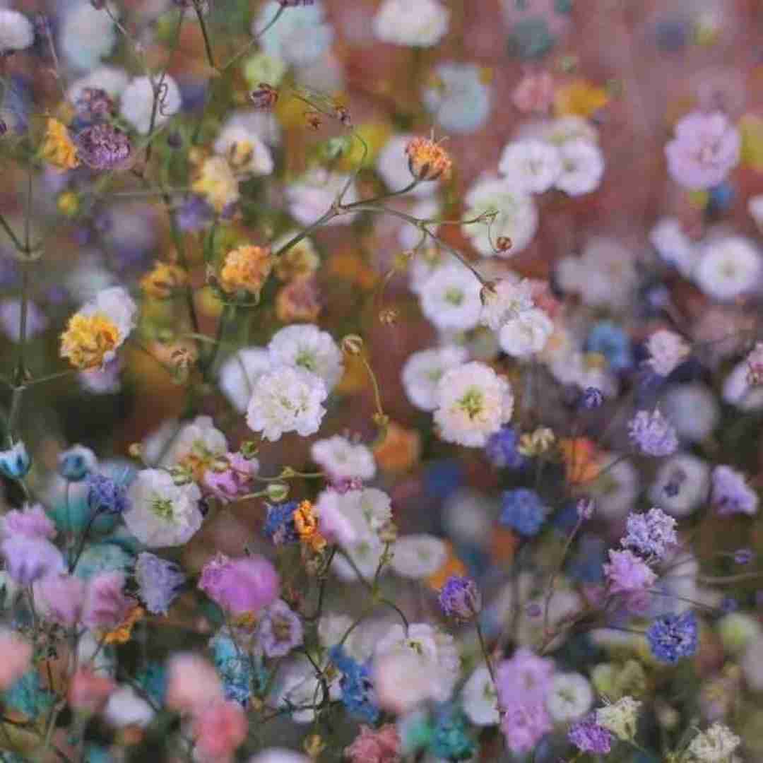 شیشه ها ماته من مات نگاهش دیوونه تره ا من