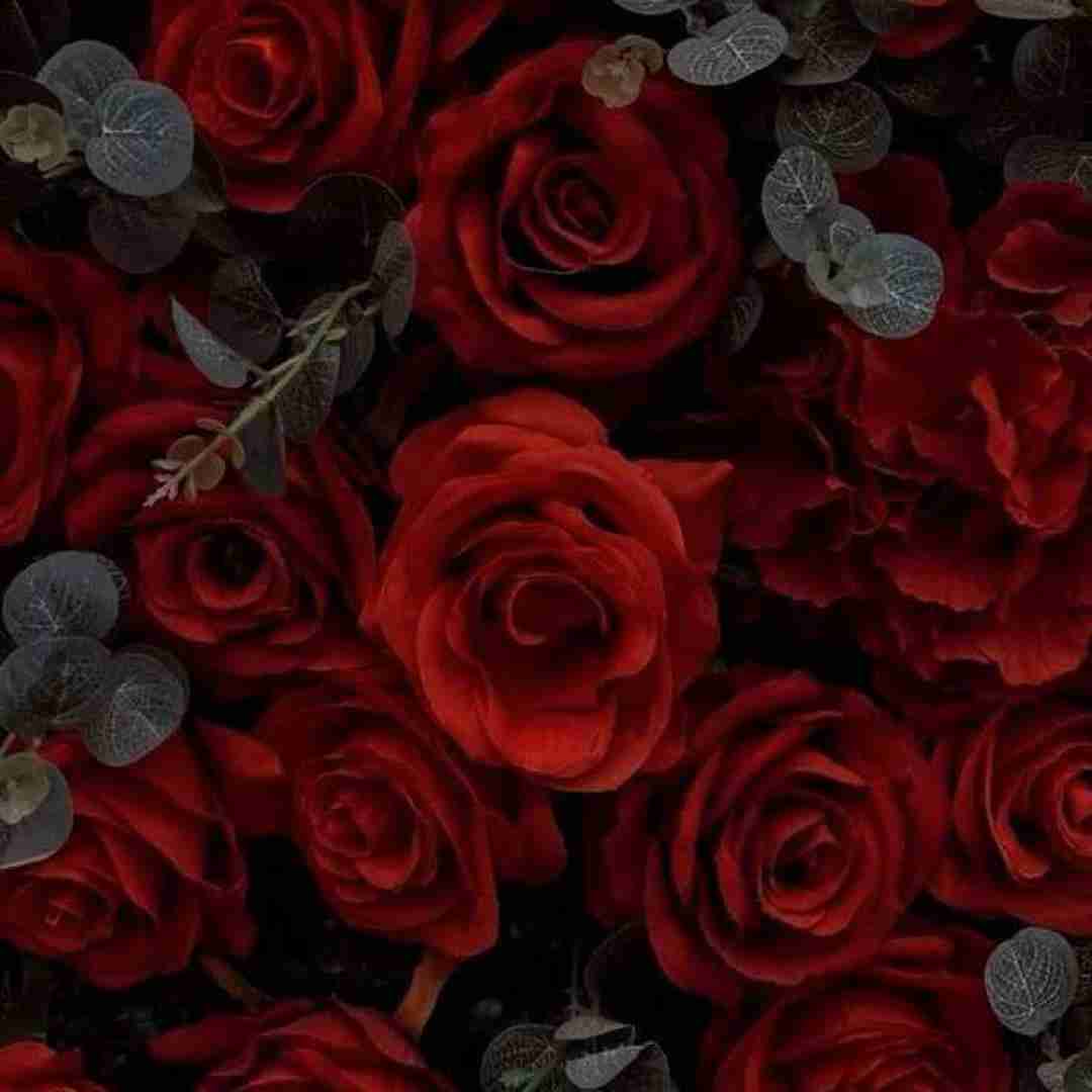  ننه کوسه ننه کوسه خاله کوسه اینستایی