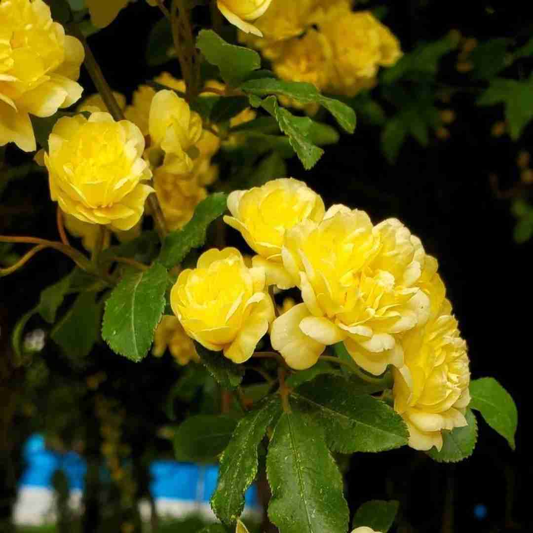  منم یه درس عبرت با خودم بدم و الا دست به خیرم