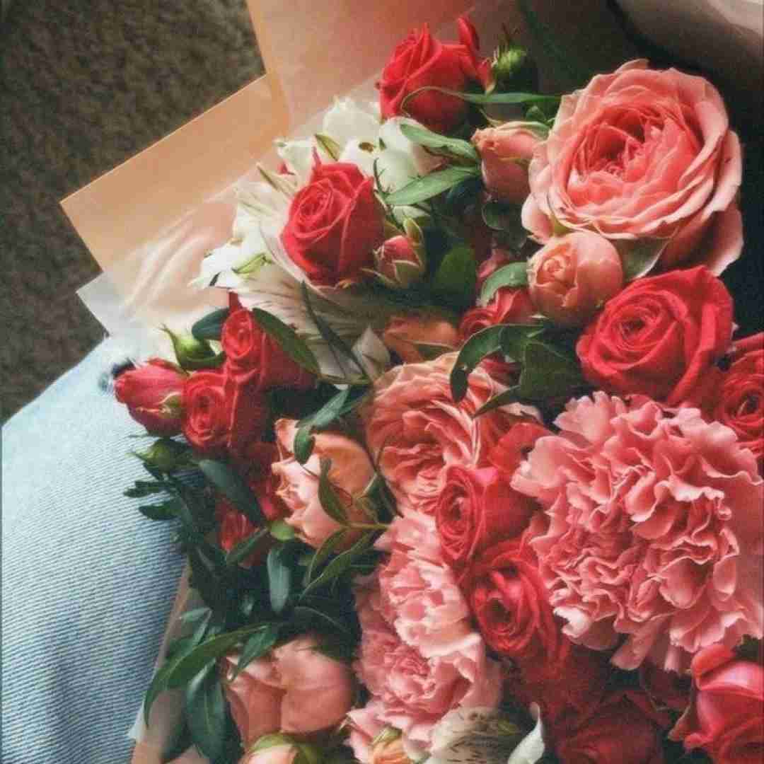 یبارم من باهات میکنم اینکارو یروزی پا میشم میرم میزارم