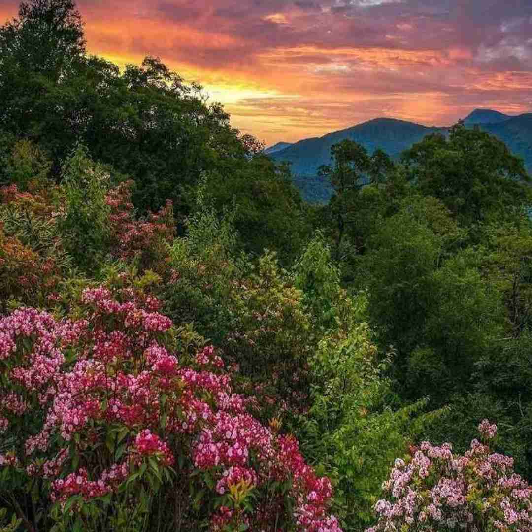  درگیر رویای توام منو دوباره خواب کن دنیا اگه با صدای پسر