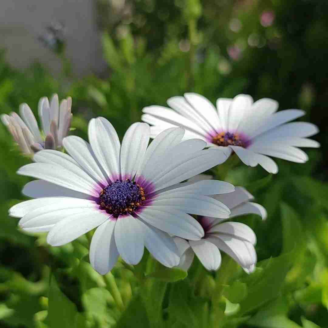  همه اون عشقی رو که نگه داشتم خرج کردم (ورژن انگلیسی)