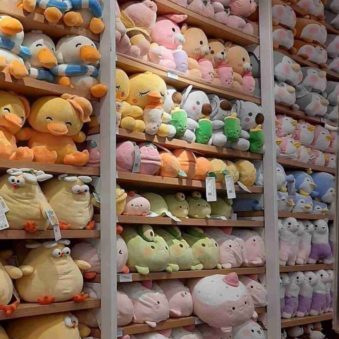 تو تو تو توپوق نزن واسه مشتلق