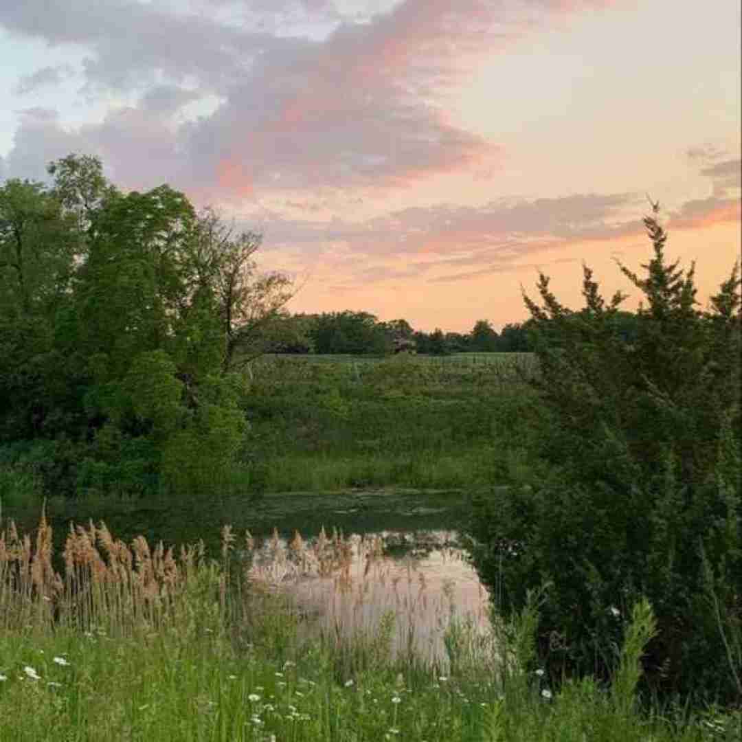  منو فالو نمیکنی ولی نسخ یه فیتی اینستایی