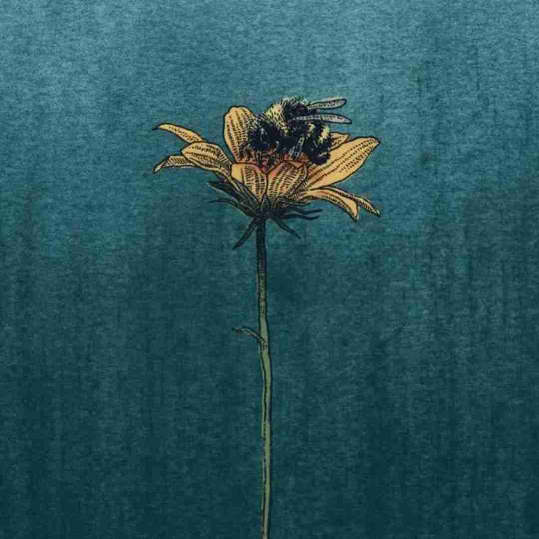 از دروغات خستم نمیدونم چرا نمک نداره دستم نداره دستم