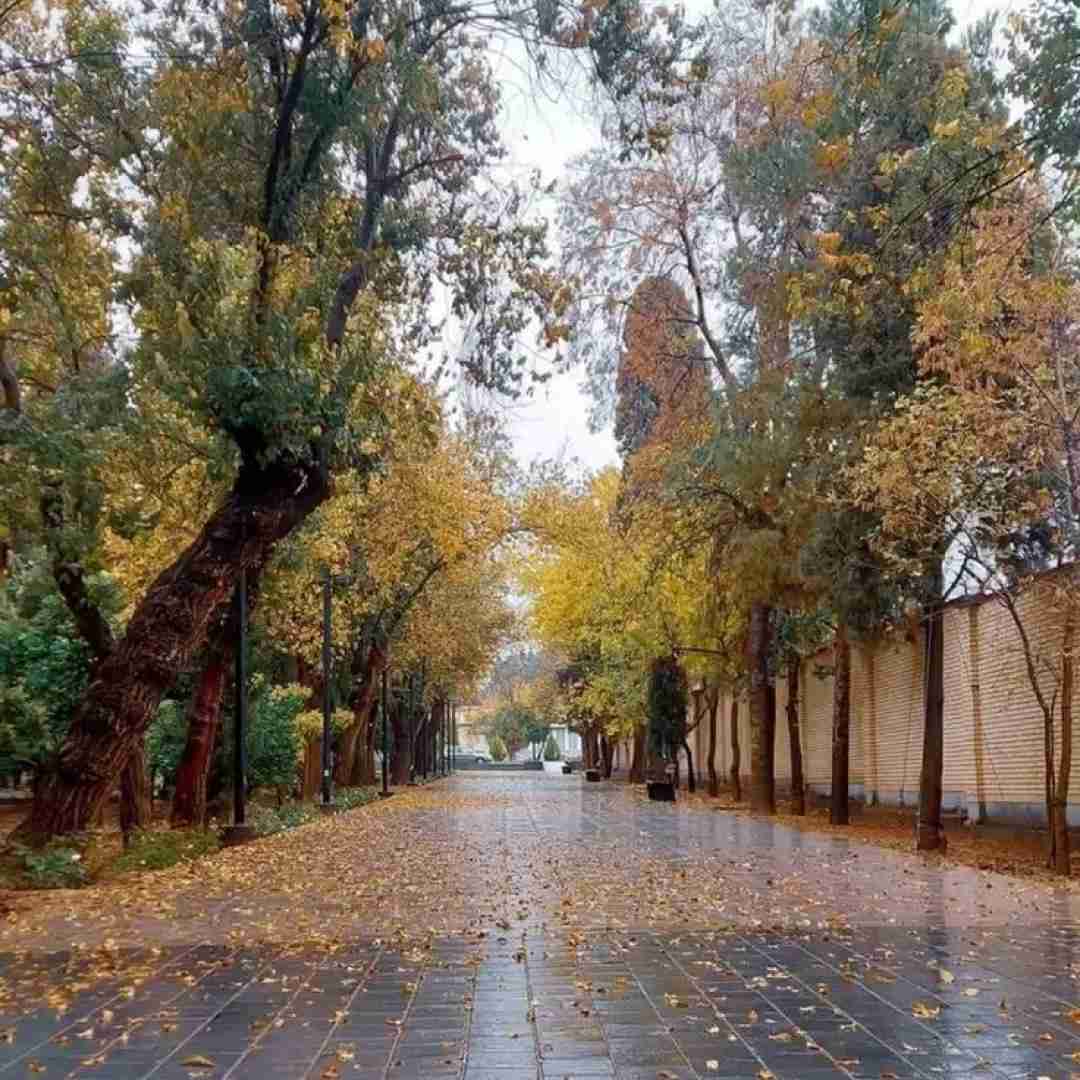 میگن ما عجیبیم اجی مجی میکنیم یهو تو هم ناپدیدی