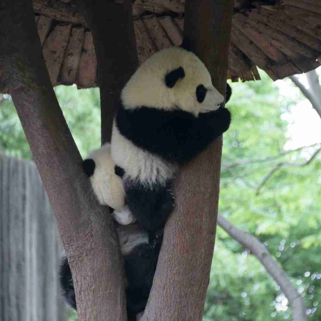  حتی اگه یه روز شد یه بار کات حتی اگه عشق دستت