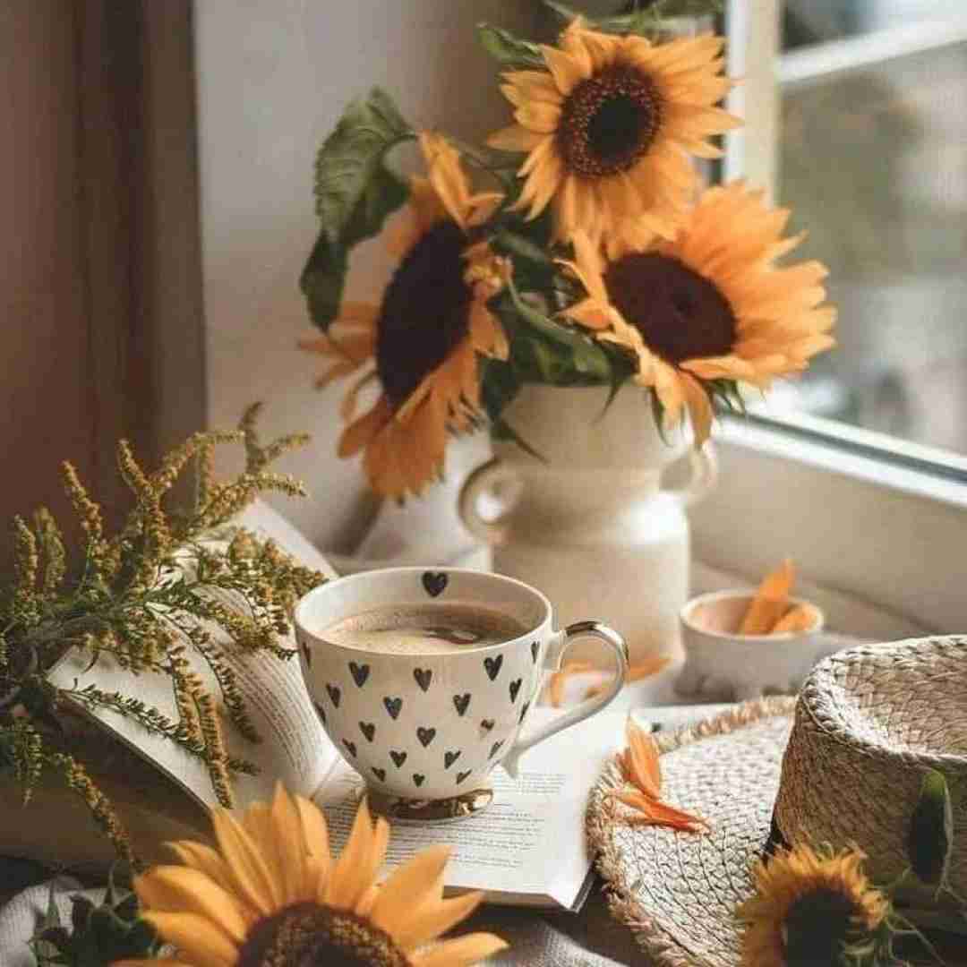 دشی جان به جان