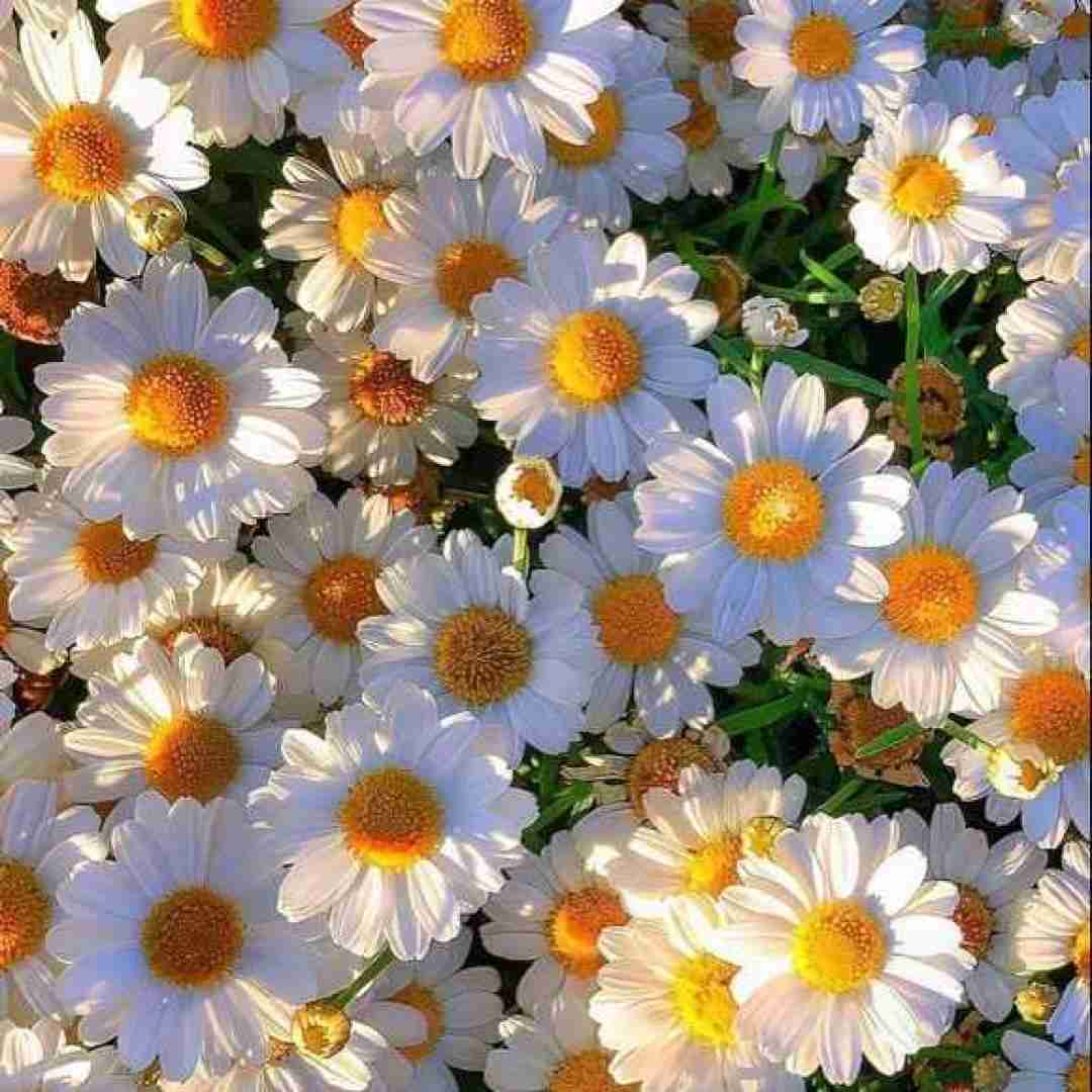  فوشتو بهم بده دست از سرم بردار فکر کردی میری برمیگردی مثل