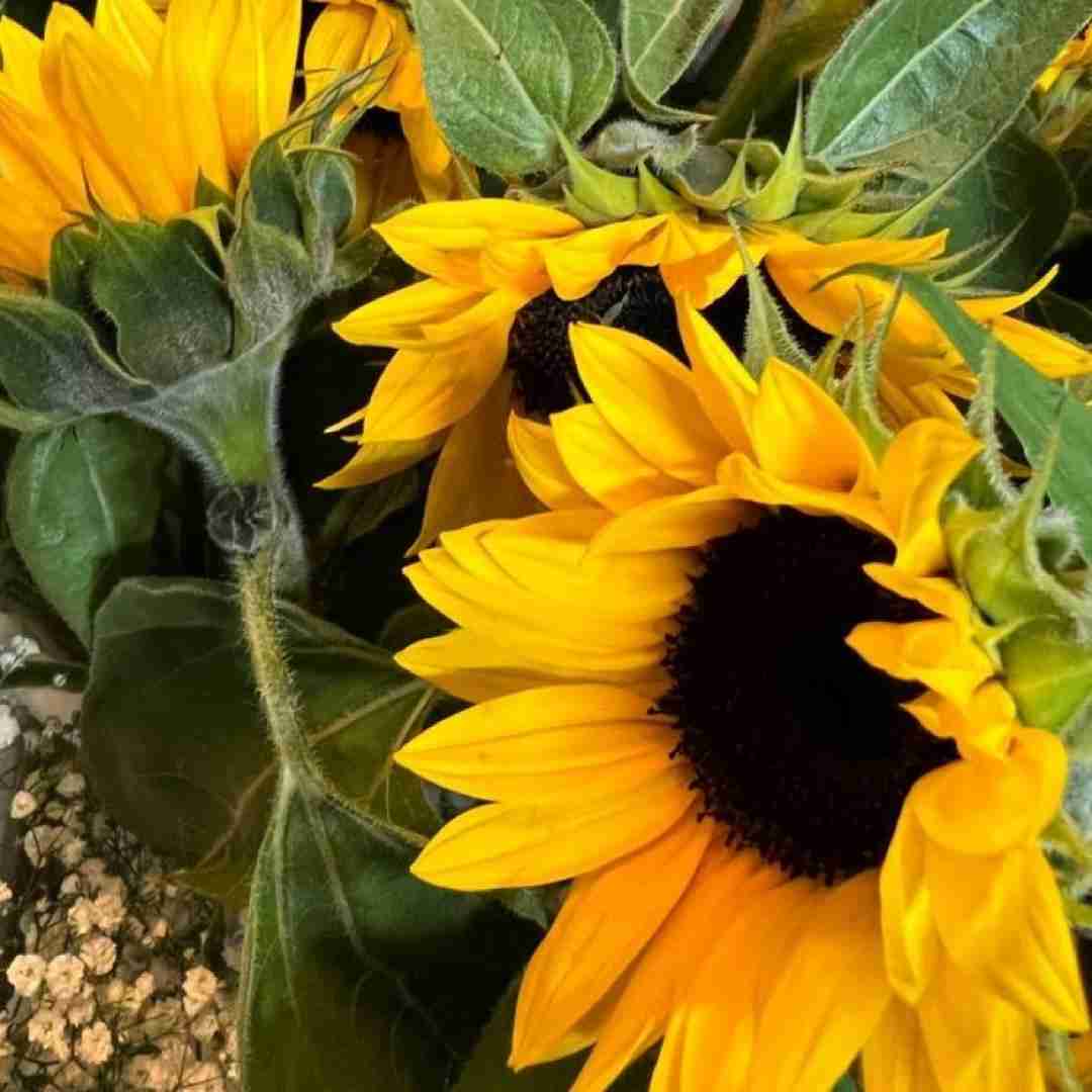  مملی مامانی ممو _ اینستایی