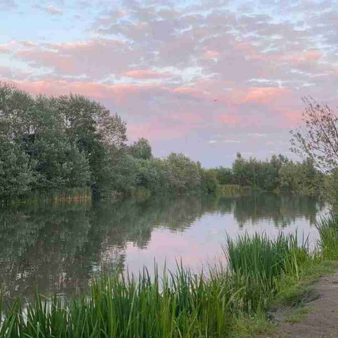  آرزو داشتم هم ‌پیکم تو باشی اینستایی