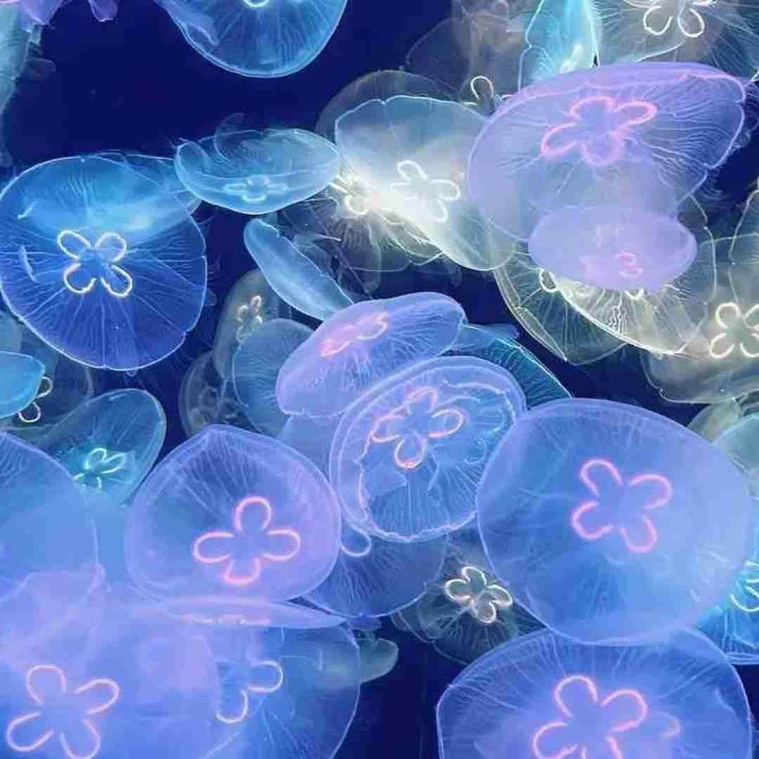  ولی من حالم خوب نی برامم سخته دوری