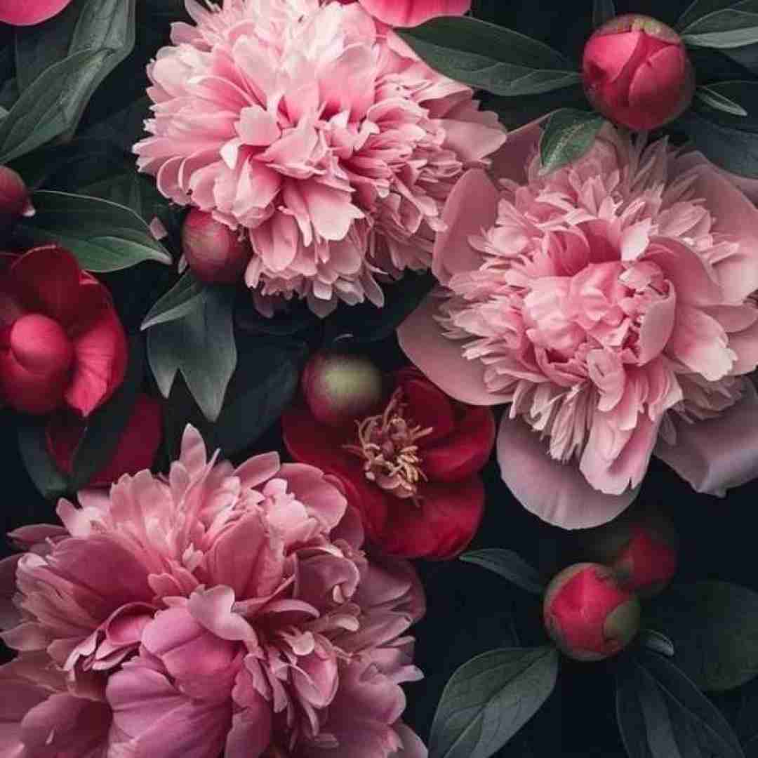  دست منه توی دستاتو سهم منه همه دنیا تو