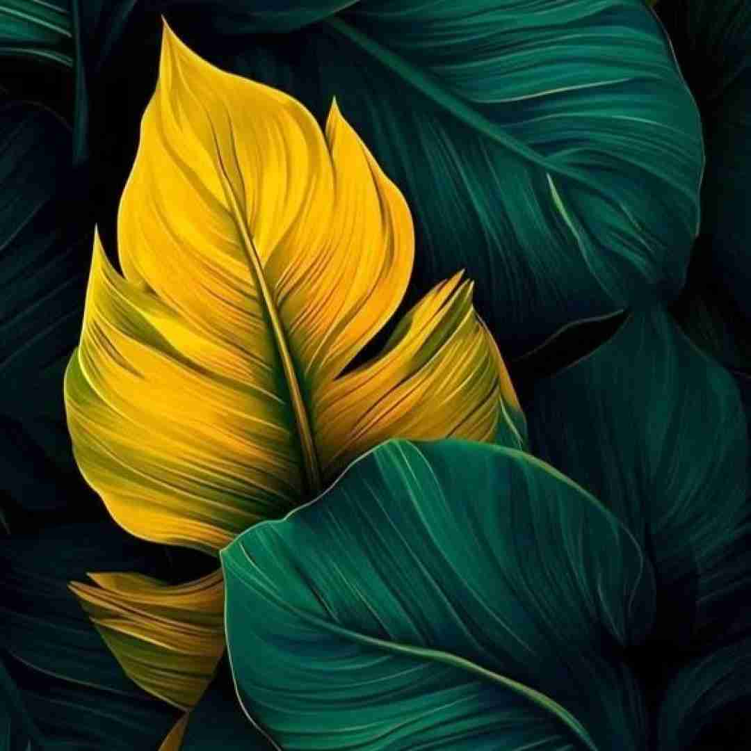 دانلود آهنگ الله چه کردی دست مریزاد بنازم از دشی