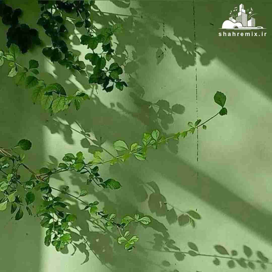  یکی یه دونه دل من محبوب خوشگل من