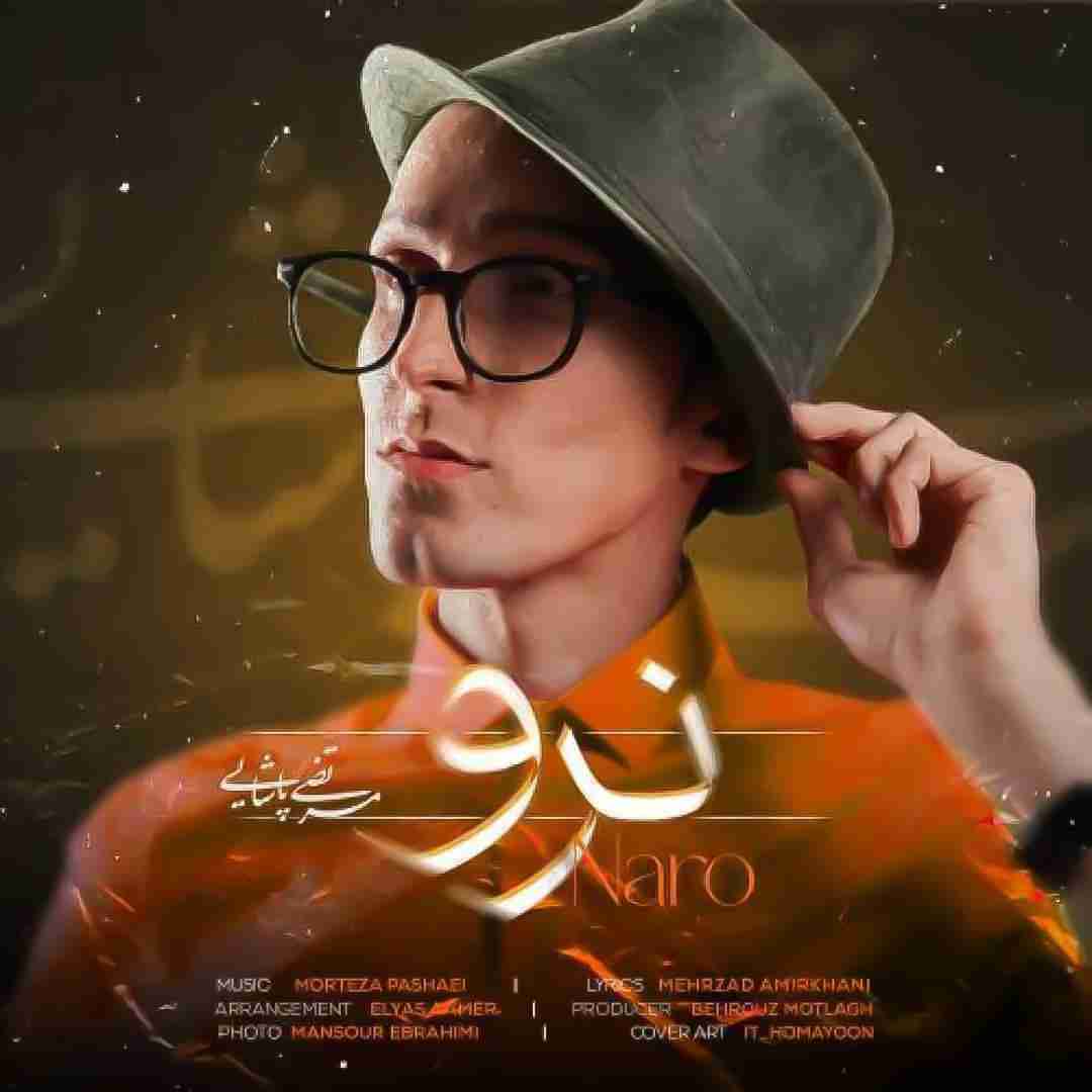 مرتضی پاشایی نرو