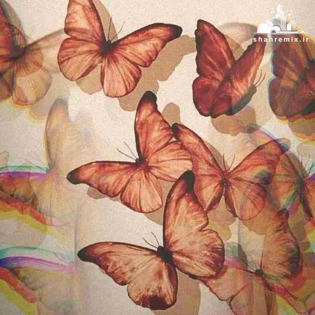 ولی من حالم خوب نی برامم سخته دوری