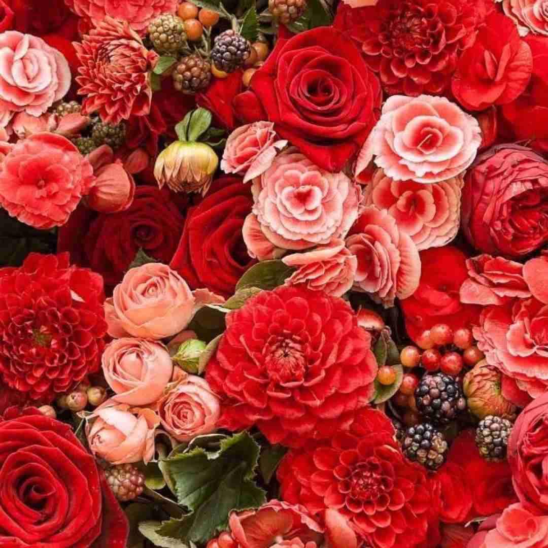  روز مرگ حرکت و ‌باد امید جمعیتی منتظر