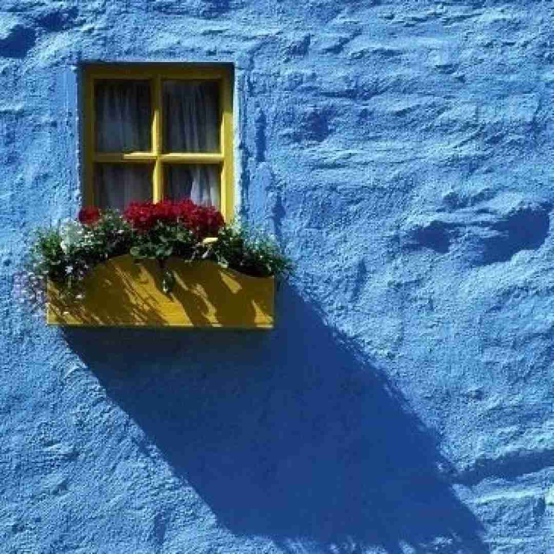 بهرزی بهرزی شهمامه و سهری تهرزی اینستایی