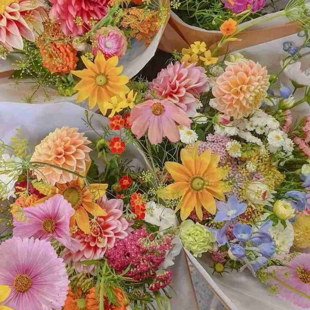 دادا خیلی لازمش دارم یکی که باهام رفیق باشه