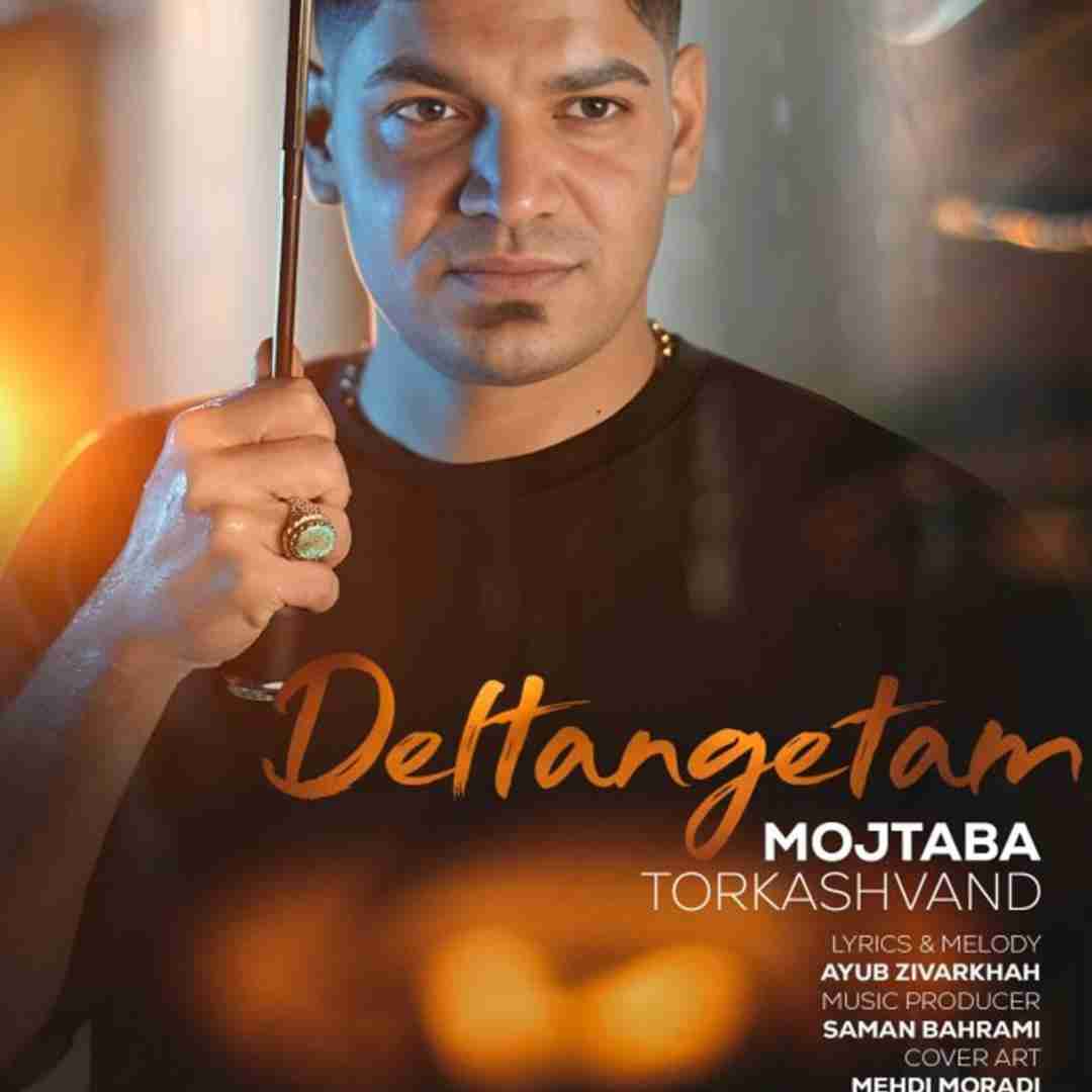 مجتبی ترکاشوند دلتنگتم