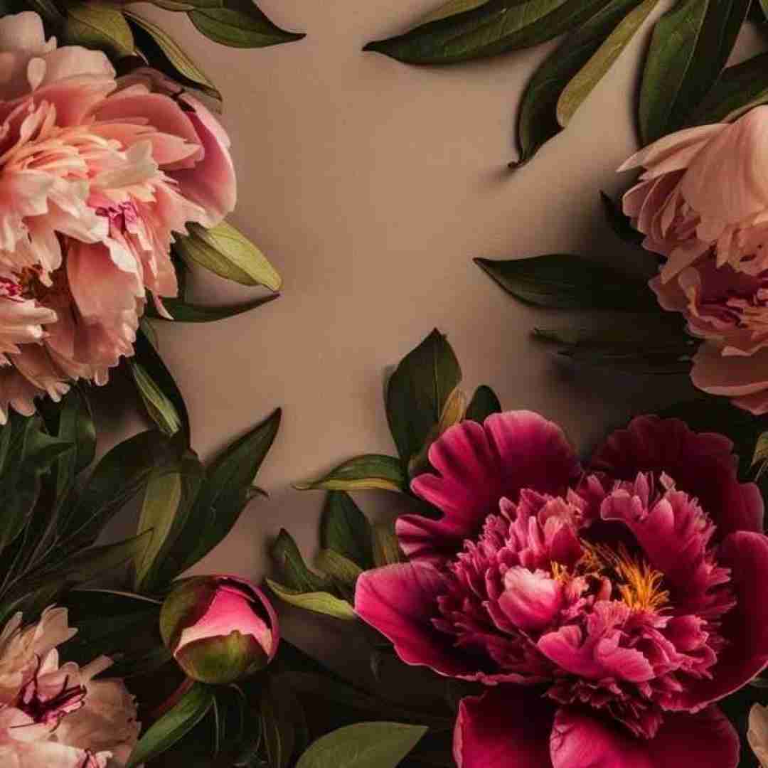  لنگ میزنم وقتی لنگی یا ببینم کم میخندی