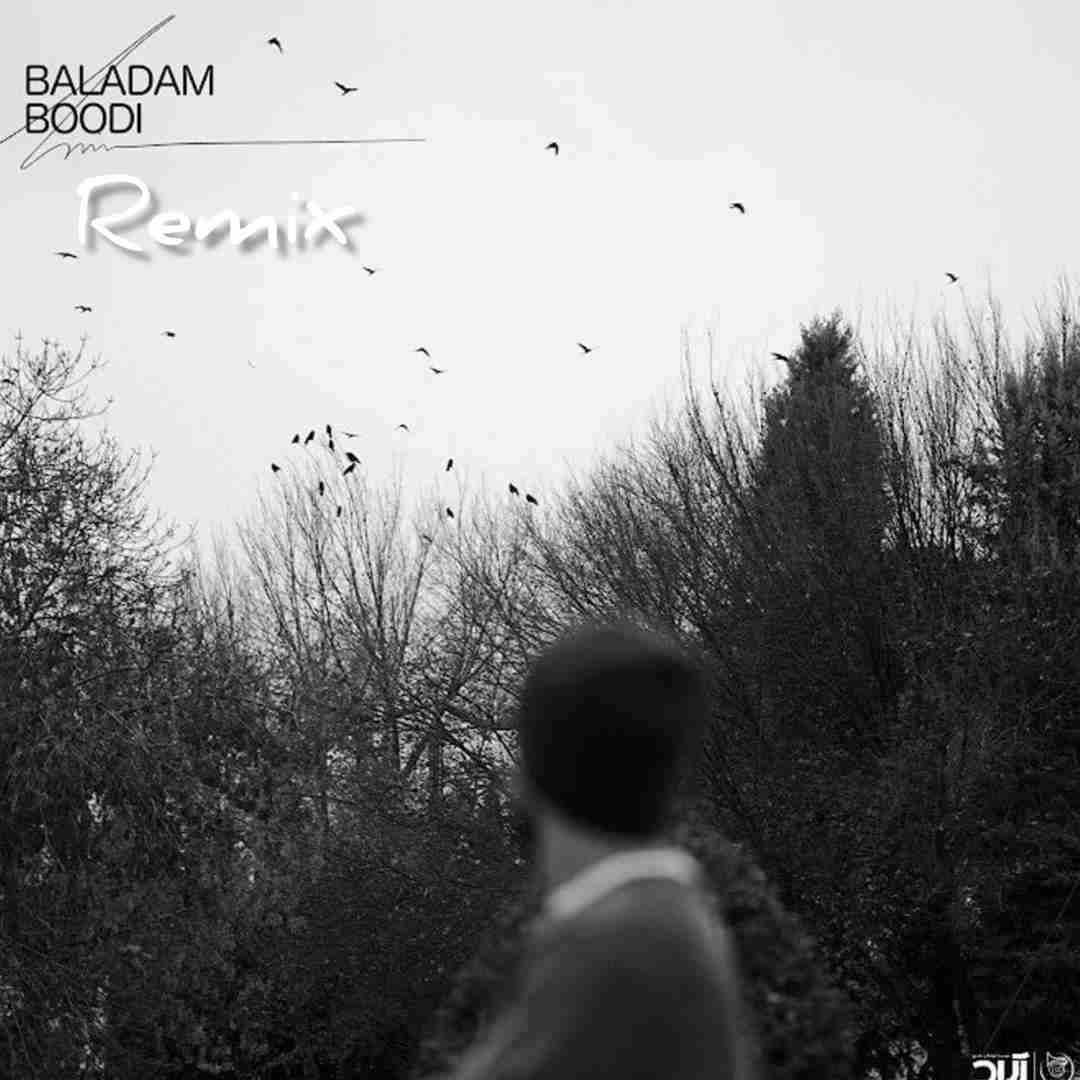 حامیم بلدم بودی