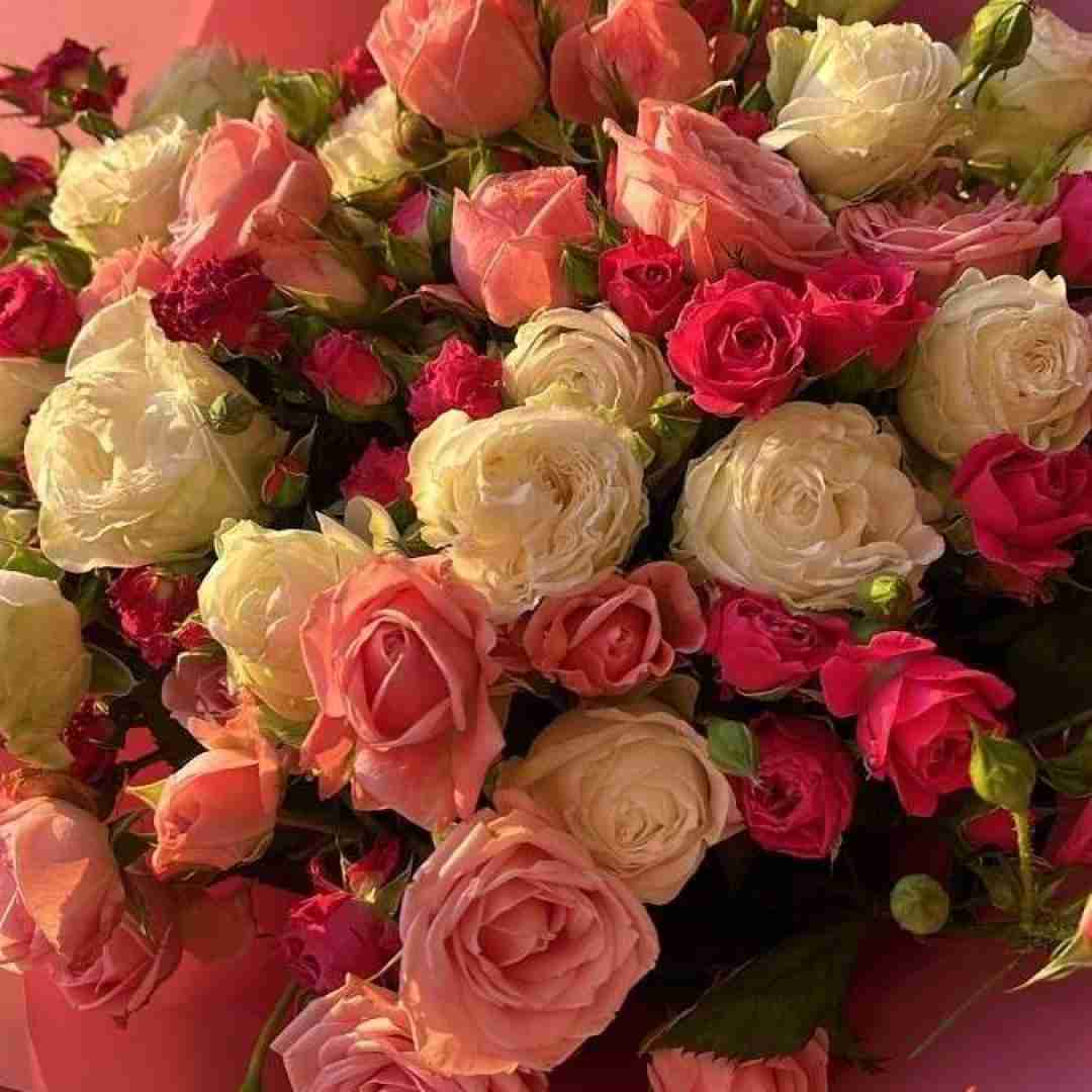 تورو میخوامت می تو بیبی