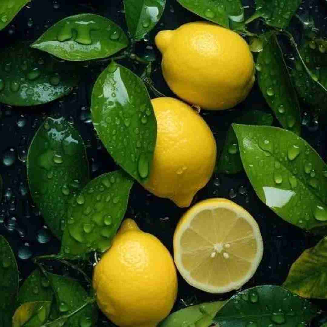  هی ببین چی دیدی تو خودت