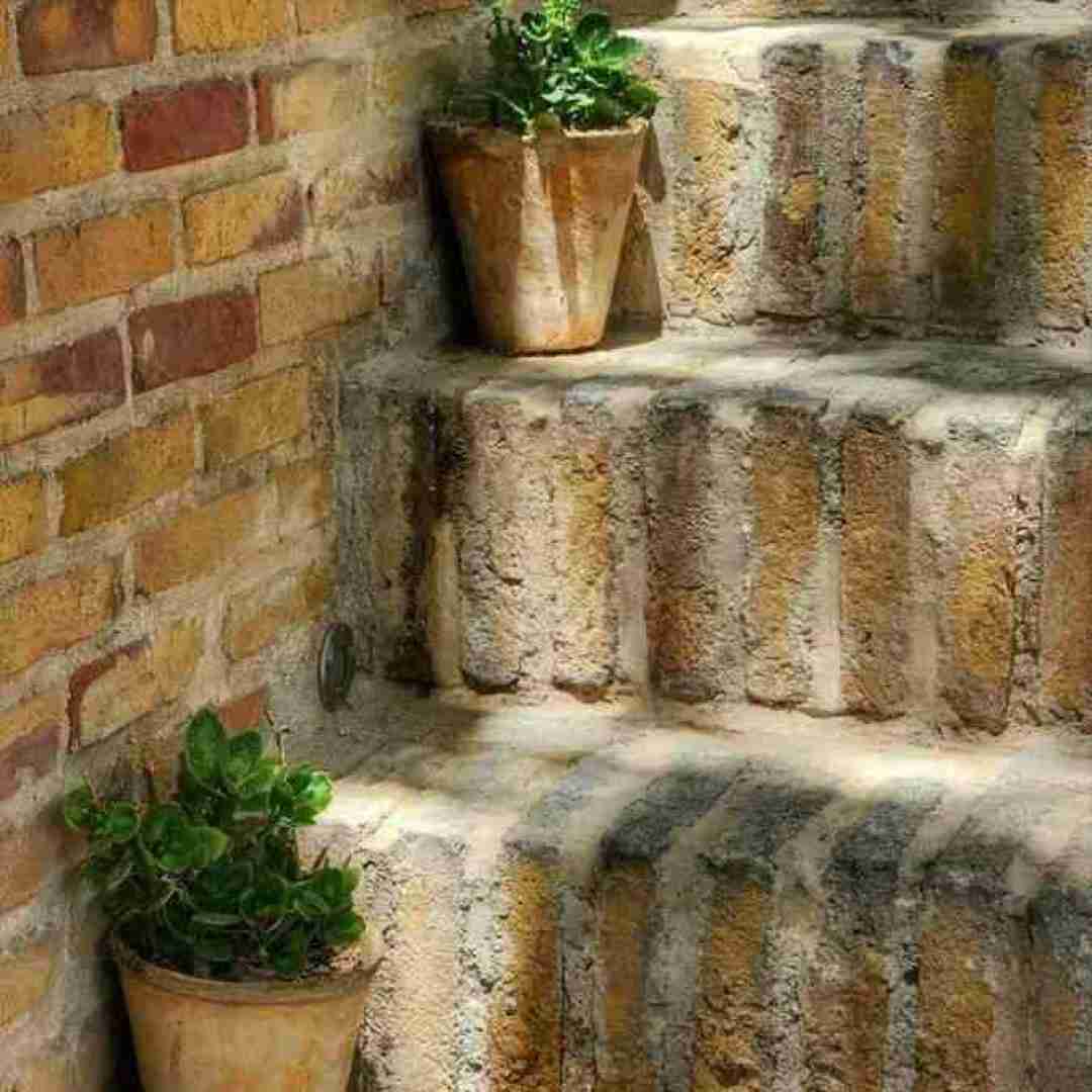 سگ باشی باهارترام کول بمونی جز باحال ترام