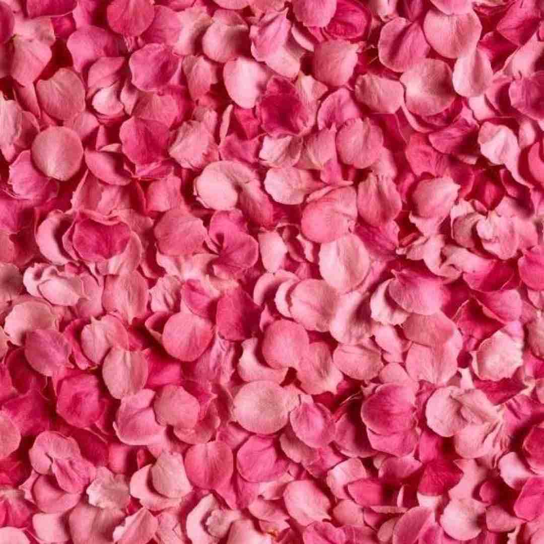 امروز از هم گسستم اگه بال و پر شکستم