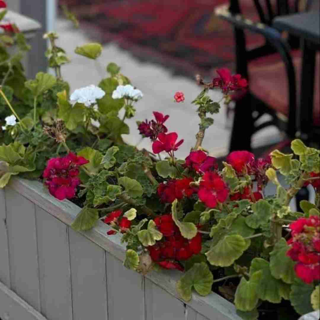  باز شروع شد زر زدناشون پشتم تو هر جمع