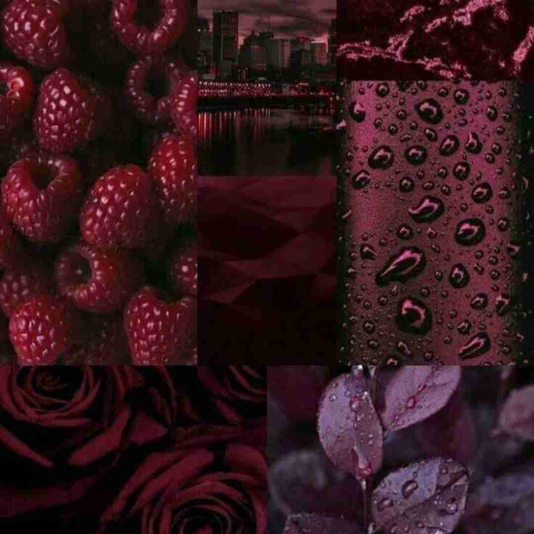 دوست دارم استیک دوست دارم برگر