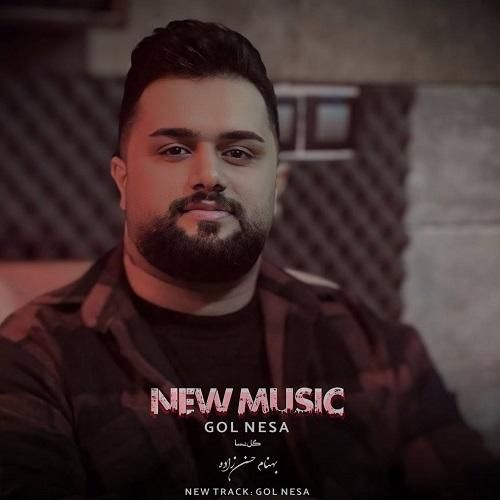 بهنام حسن زاده گل نسا