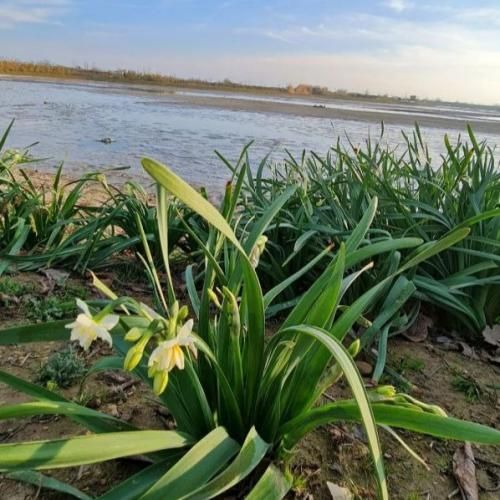  مست شده دیگه ول داده اورژانسیه دافی امداده بیگ رفی