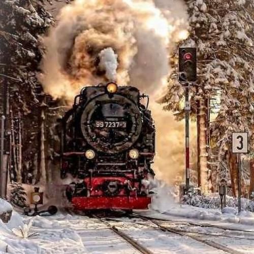  کاکا کاتانا چیریکی کتا باز سی دی ای سوزوکی آدیداس