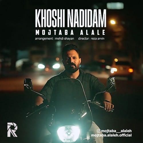 مجتبی آلاله خوشی ندیدم