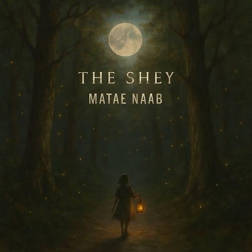 دشی متاع ناب