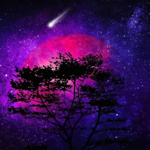 میمیرم باز با چشات میمونم تا ته داستانو بات