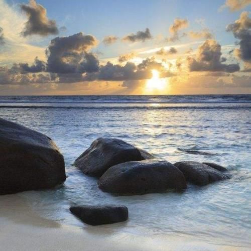  من نمیکشم واقعا افتادی از چشم آخر بسه دیگه