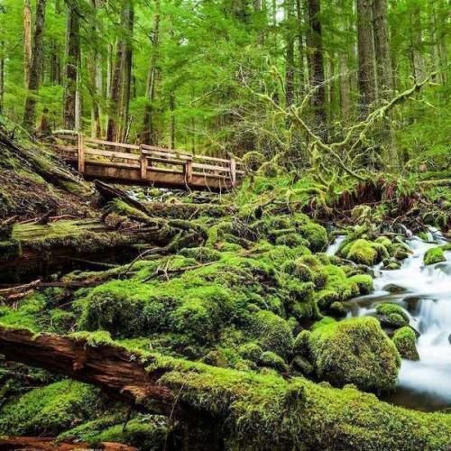  ناخونا بلنده و نوکشونم که فرنچ فتیش فیت داره