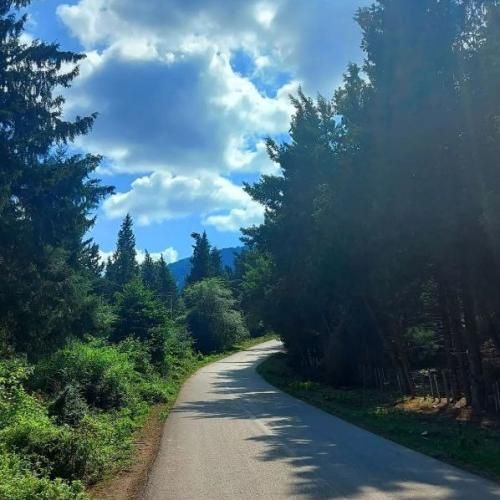 ای ساربان آهسته ران با صدای زن هوش مصنوعی