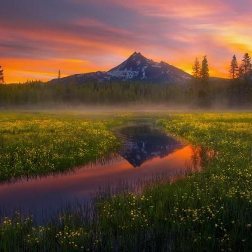  تو فرار کردن شما خوبید باس طی کنید مسافت