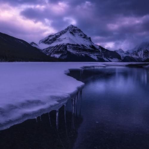  باز بیا آسمون تیرمو تو روشن کن این تن سرد