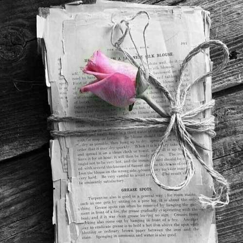  هیچوقت فمیلی و دلم نمیخواست اگه ندارم الان به کسی تراست